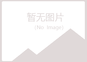 河曲县惜文工程有限公司